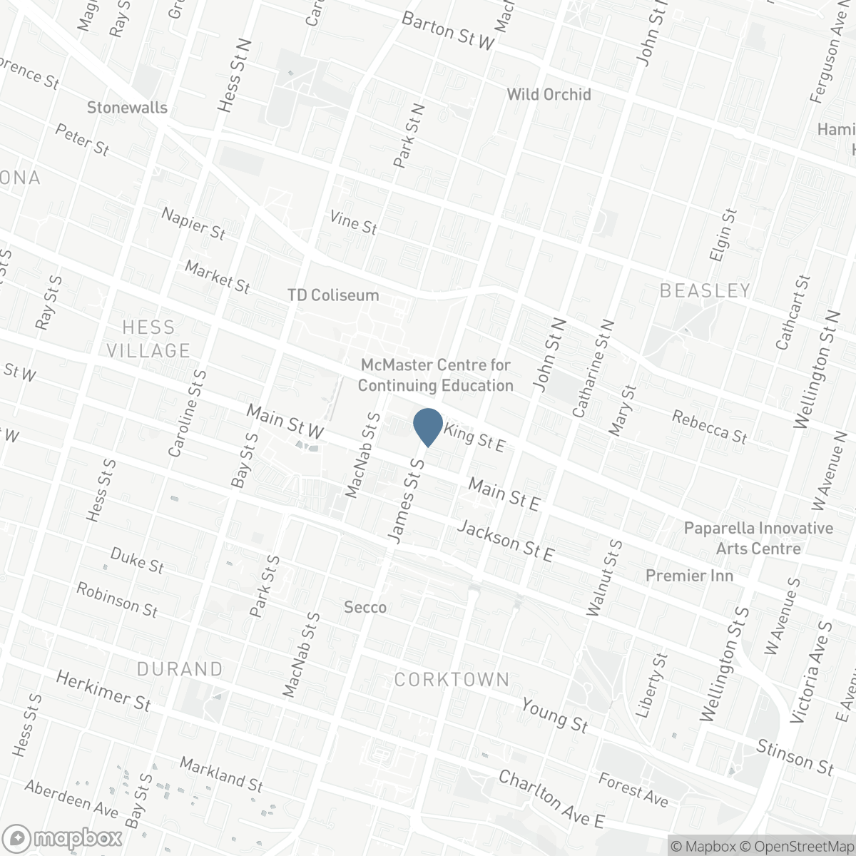 36 JAMES Street S Unit# 303, Hamilton, Ontario L8P 4W4